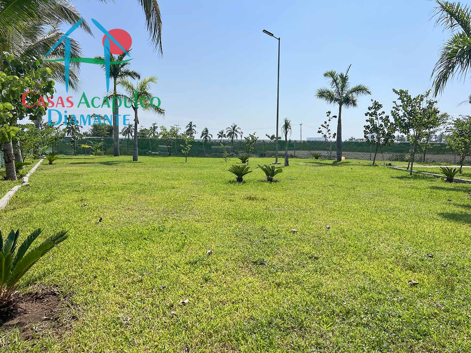 Dream Diamante - Jardines 4